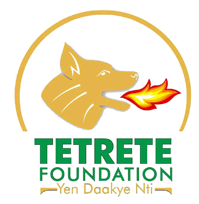 Ongoing projects tetrete foundation